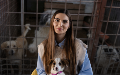 De ce cazul abatorului de câini de la Suraia a fost posibil, directoarea ASPA: « lanțul se rupe la control »