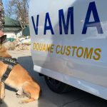 Vama-vames-autoritatea-vamala-romana-caine-e1759302289804.jpg - ReactiveNews