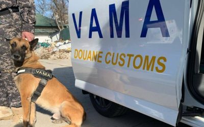 Autoritatea Vamală Română a declanșat luni, 6 aprilie 2026, o amplă operațiune de control pe principalele rute de transport din țară, concentrată pe verificarea importurilor de produse alimentare perisabile