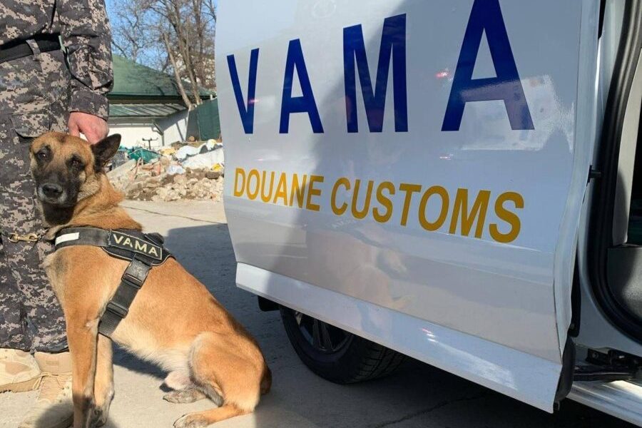 Controale dure la frontieră pentru combaterea fraudei cu alimente perisabile din import