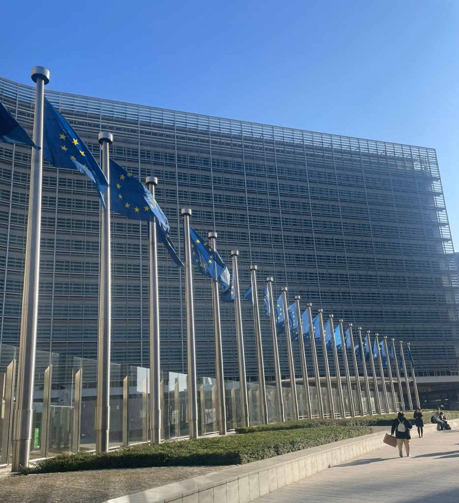 Auditori UE, cu ochii pe decarbonizare: Fondul, sub lupă