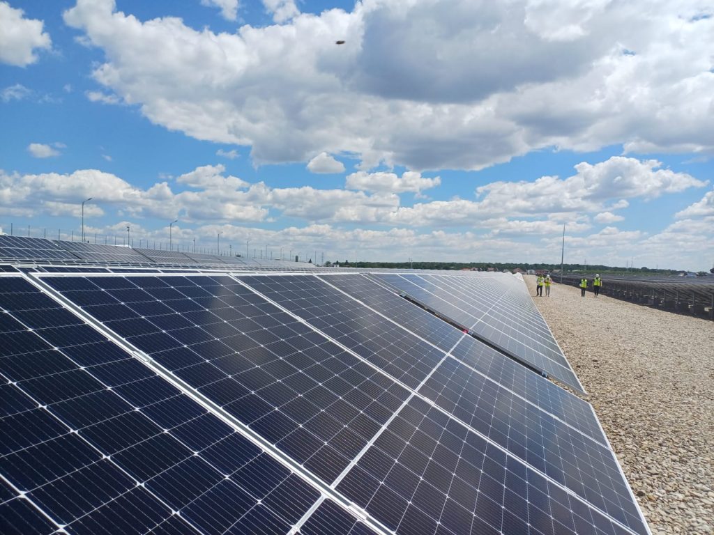 Bomba în energia verde: „Băieții deștepți” vând parcuri solare pe OLX! Ce face statul?