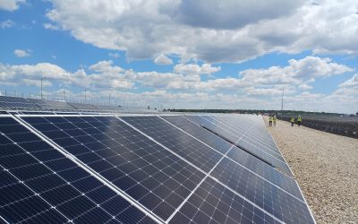 Bomba în energia verde: „Băieții deștepți” vând parcuri solare pe OLX! Ce face statul?