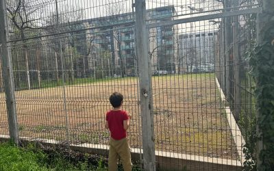 WhatsApp-Image-2026-04-01-at-15.33.39.jpeg - ReactiveNews