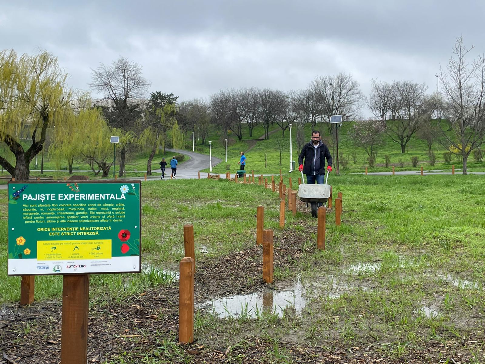 Parcul Tineretului devine, din nou, spațiu de reflecție și acțiune pentru voluntari, în ciuda vremii ploioase care a redus fluxul de vizitatori