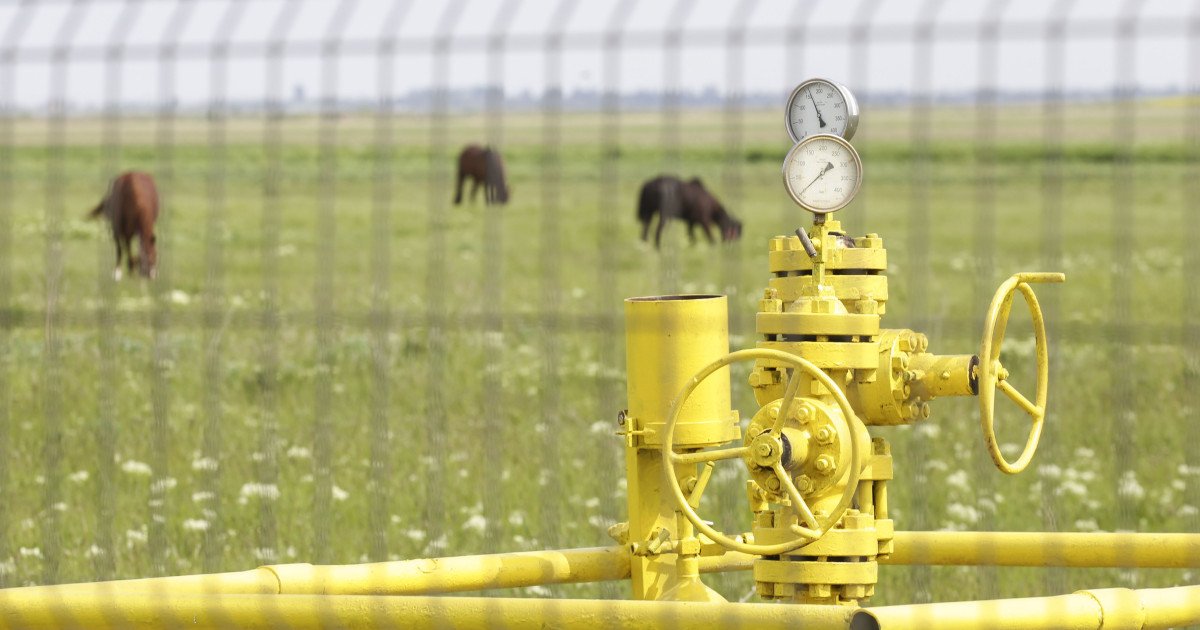 Proiectul Caragele avansează; forajul patra sondă atinge recordul de adâncime Patra sondă de gaze naturale de la Zăganu, parte a proiectului Caragele, a stabilit un nou record de adâncime în cadrul operațiunilor de foraj