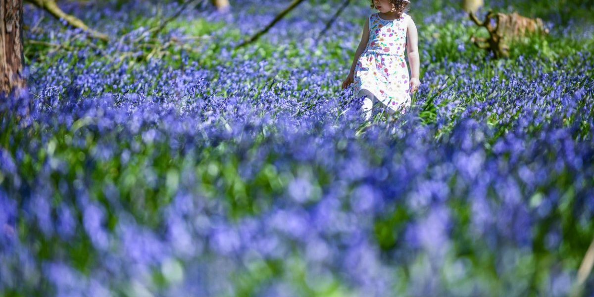 Vremea se încalzește! Meteorologii anunță temperaturi peste media perioadei