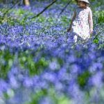 Vremea se încalzește! Meteorologii anunță temperaturi peste media perioadei