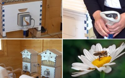 Apiterapie: Secretul vindecător din stupi. Unde poți face terapie cu aer din stup în România