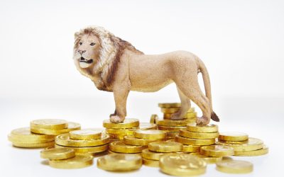 Euro, în urcare abruptă: Ce se întâmplă cu moneda unică în România