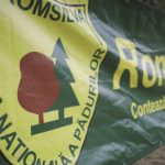 Sindicaliștii Romsilva atacă reorganizarea regiei în instanță