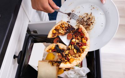 România, groapa de gunoi a mâncării: 3,4 milioane tone risipite anual