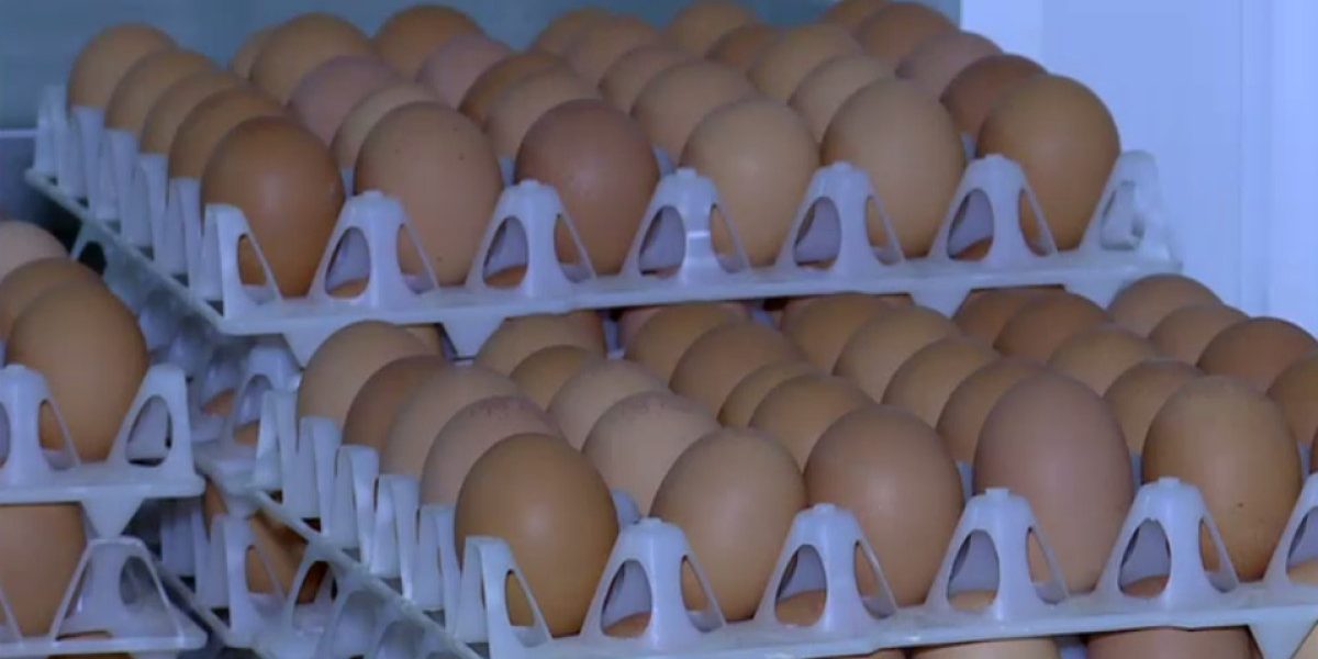 Ouă cu Salmonella retrase: pericol SANITAR major în prag de Sărbători!