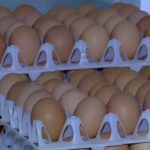 Ouă cu Salmonella retrase: pericol SANITAR major în prag de Sărbători!