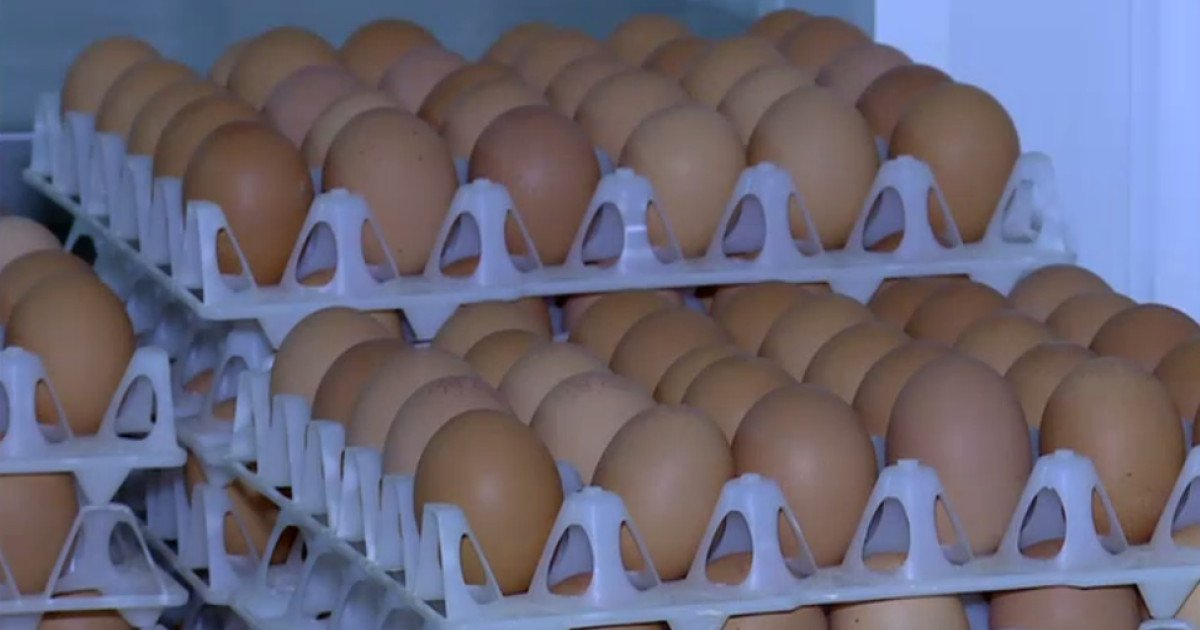 Ouă cu Salmonella retrase: pericol SANITAR major în prag de Sărbători!
