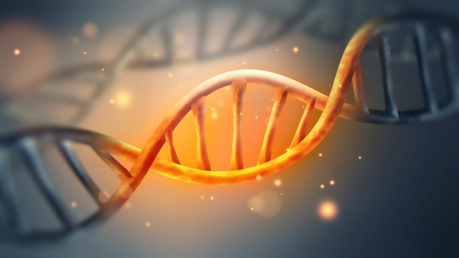 Unde s-ar ascunde secretele codului genetic, misterul vieții