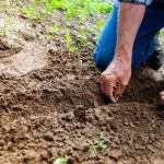 agricultura-fermier-teren-agricol-recolta-foto-pexels-binyamin-mellish-e1669273801286.jpg - ReactiveNews