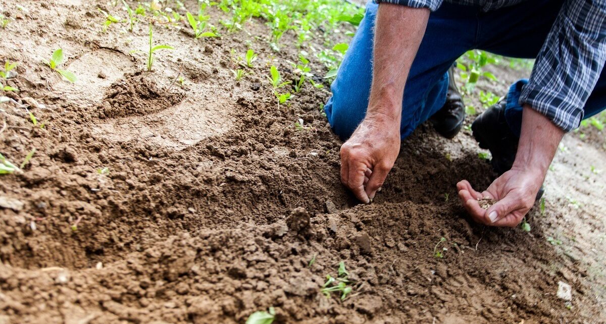 Reprezentanții sectorului agricol românesc sunt convocați la Bruxelles pentru discuții cu oficialii europeni pe 13 aprilie, într-un context tensionat generat de scumpirea accelerată a îngrășămintelor