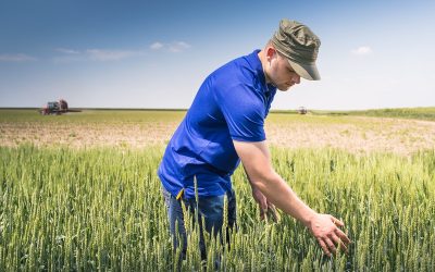 Criză fertilizanți: Fermierii cer ajutor la Bruxelles. România, în pericol