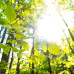 Masterange România, pas important: cere aviz de mediu pentru proiectul său