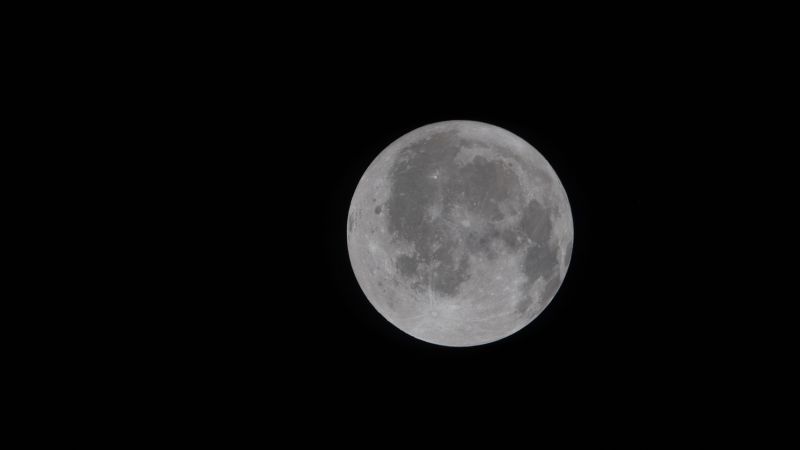 art002e004438-orig.jpg - ReactiveNews