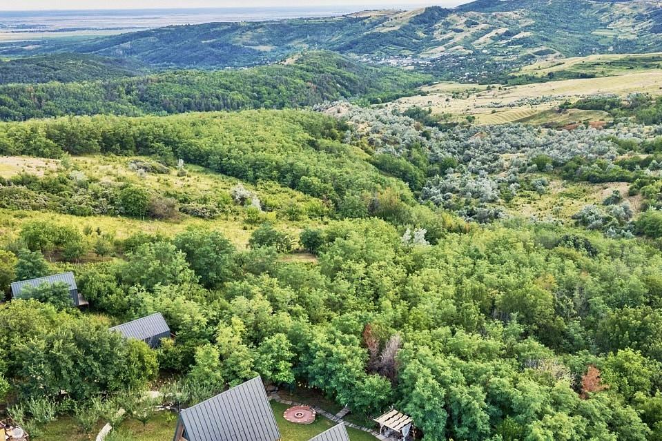 Arta Chalet: Povestea Refugiului de Lux din Regiunea Viticolă Dealu Mare, România