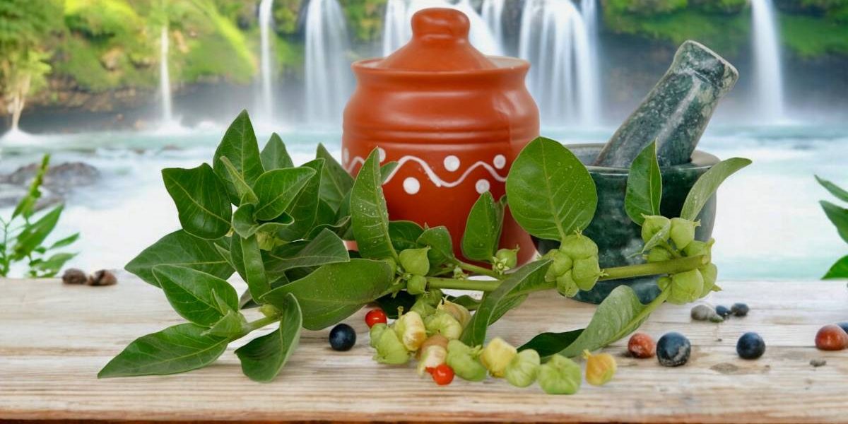 ashwagandha.jpg - ReactiveNews