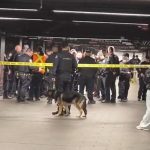Atac cu maceta în NY: Trei răniți în metrou, suspectul, împușcat de polițiști
