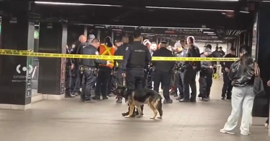 Americanul „Lucifer” a măcelărit cu maceta bătrâni în New York, apoi a fost executat