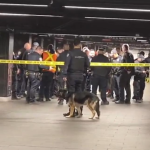 Americanul „Lucifer” a măcelărit cu maceta bătrâni în New York, apoi a fost executat