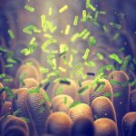 Bacterie „kamikaze”: Distruge tumori din interior! Cercetătorii fac furori