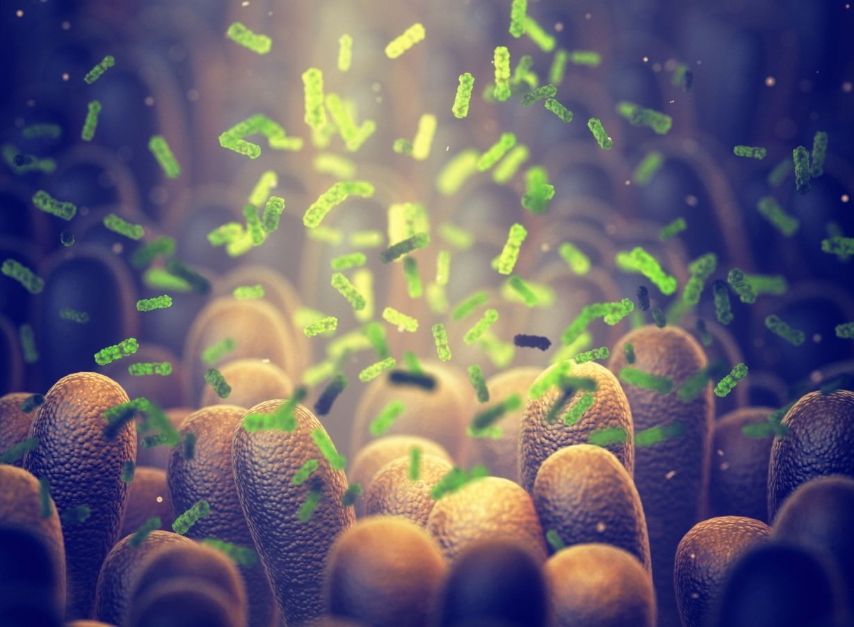 Bacterie „kamikaze”: Distruge tumori din interior! Cercetătorii fac furori