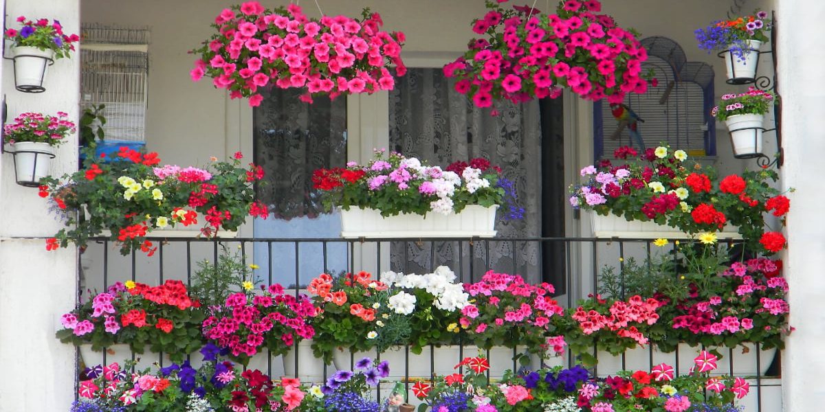 Șapte secrete pentru un balcon floral de vis: oază de culoare vara aceasta