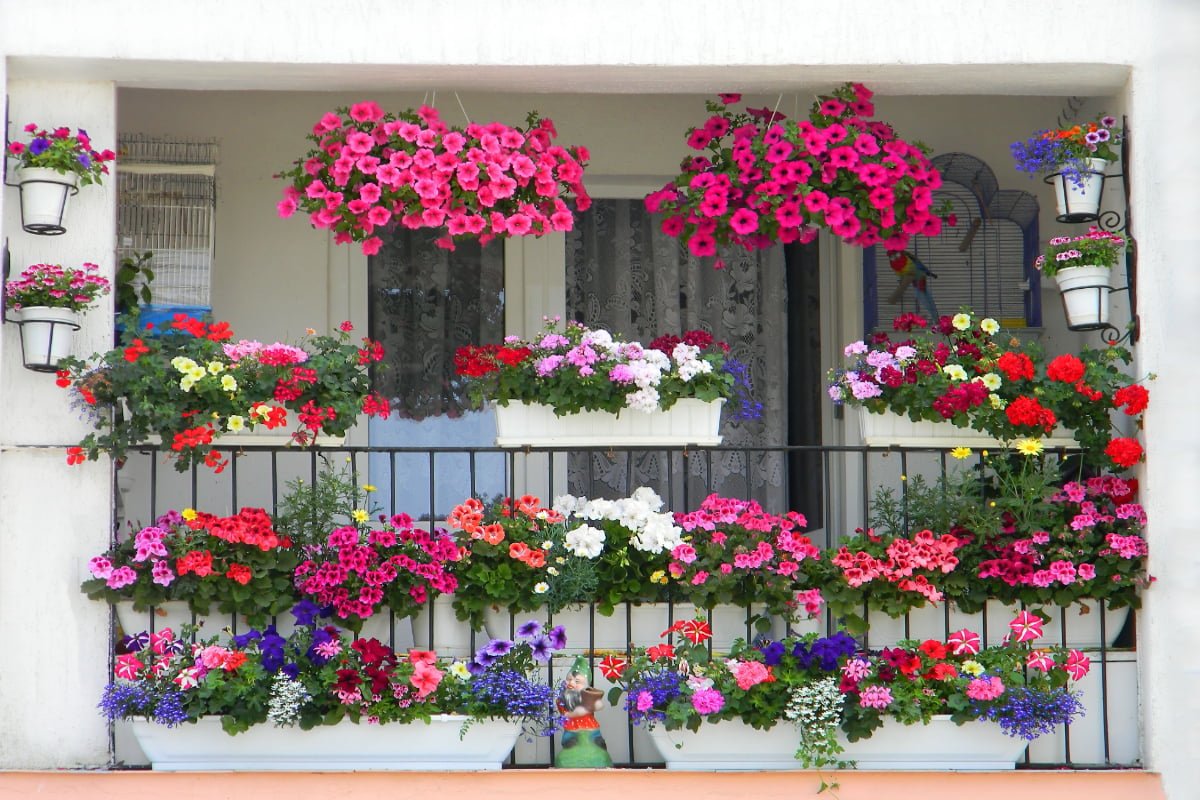 Șapte secrete pentru un balcon floral de vis: oază de culoare vara aceasta