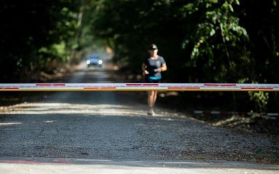 Romsilva închide drumul ilegal din Pădurea Băneasa: Blocajul din București