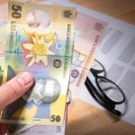 Pfa și ong-uri, pe bani europeni: termen limită 3 mai la DRRM