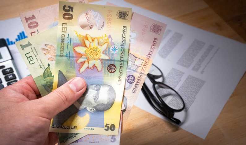 Pfa și ong-uri, pe bani europeni: termen limită 3 mai la DRRM