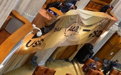 Miruță, despre AUR-ul care a dărâmat Guvernul și cel care vrea cu PSD