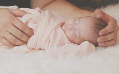 Otravă de șobolani în mâncarea HiPP pentru bebeluși: Sabotaj la analiză