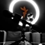 Arhivă Europa Liberă România: 52.341 de povești, de la Donald Trump la București