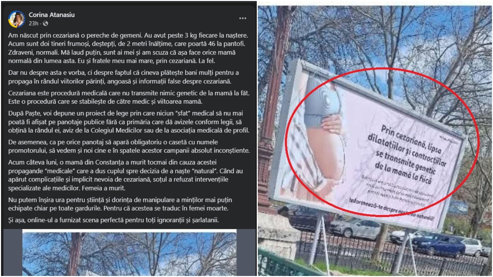Deputata USR, ofensată de o reclamă: cere schimbarea legii și investigații