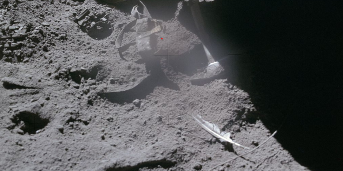 O „pană” de pasăre pe Lună? NASA dezvăluie misterul unei fotografii