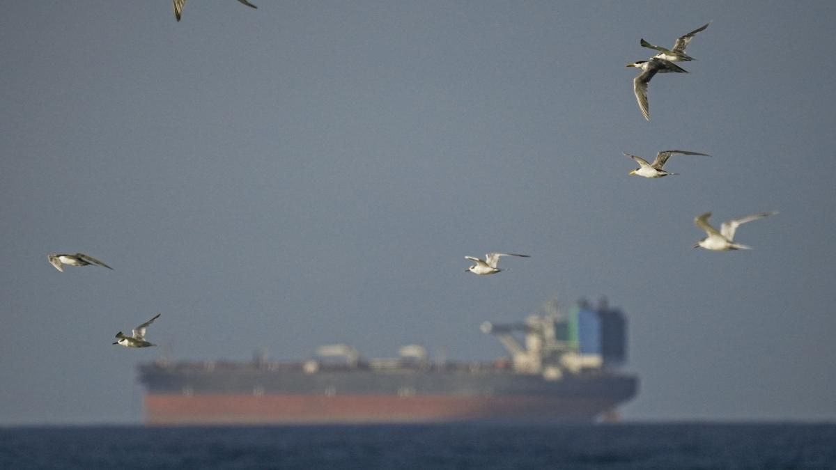 Blocadă navală în Ormuz: Cum ar putea bloca Iranul strâmtoarea vitală?