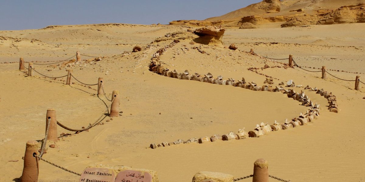 Un eveniment antic a dus la prăbușirea Vechiului Regat Egiptean