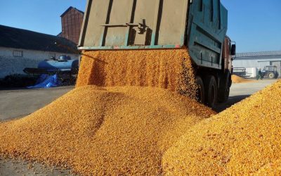 Afacerile record ale Agropec Dionis în 2025: traderii români, campioni la cereale