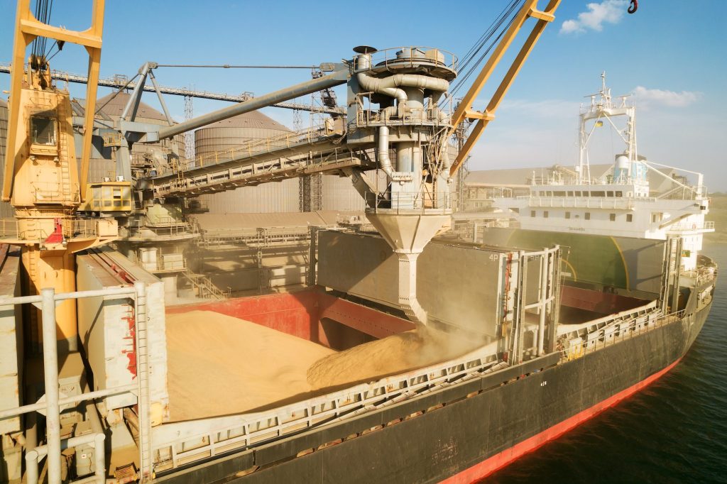 Bani puțini din cereale: Exporturile fermierilor, umbrite de creșteri anemice