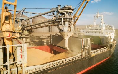 Bani puțini din cereale: Exporturile fermierilor, umbrite de creșteri anemice
