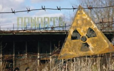Nouă formă de viață, descoperită la Cernobîl: misterul de după dezastru
