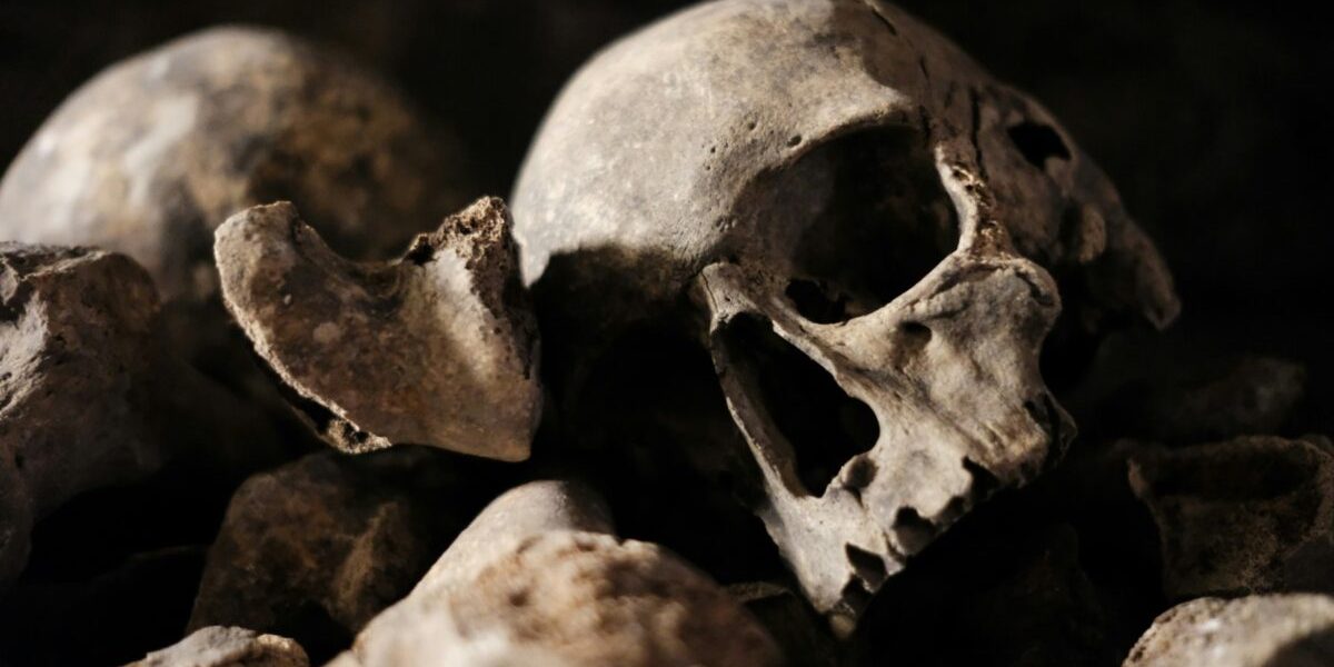 Catacombele Parisului, redeschise. Pericol: oasele sunt atacate de microorganisme