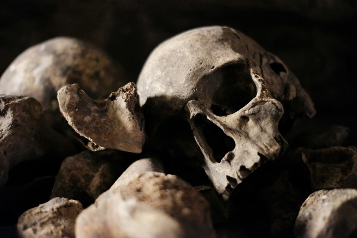 Catacombele din Paris, renumite pentru osemintele a milioane de oameni, și-au redeschis porțile pentru public, după o perioadă de închidere de aproximativ șase luni